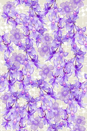 零点--女装印花华亿平台图片