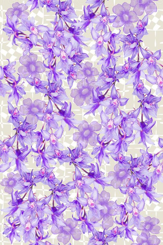 零点--女装印花华亿平台图片