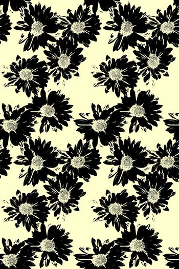 589023-女装雏菊印花图案