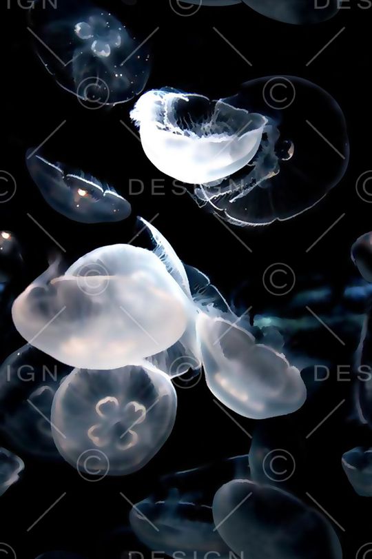 复古风格印花华亿平台图片