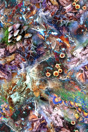 时尚印花华亿平台图片