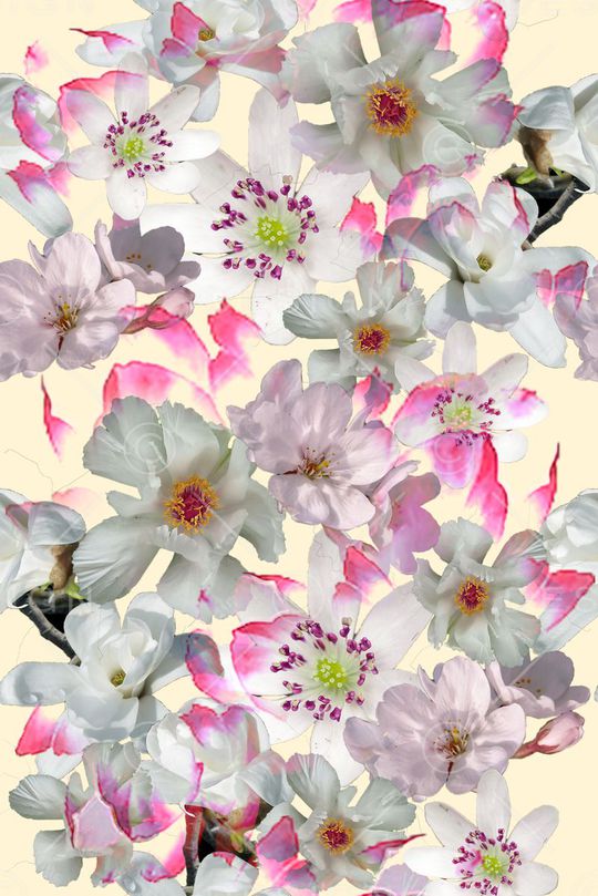 零点--女装印花华亿平台图片