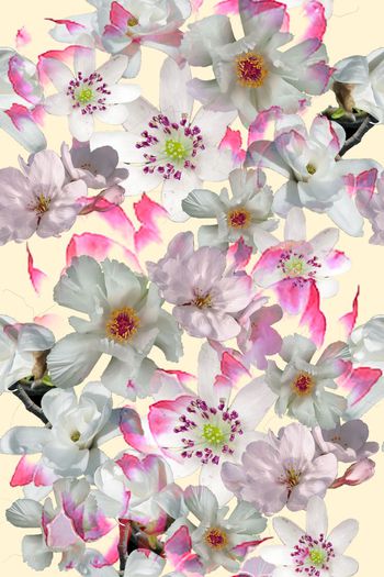 589214-玉兰花 简洁 女装