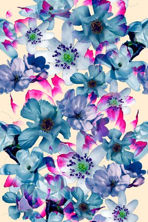 零点--女装印花华亿平台图片