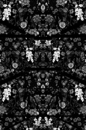 热带印花华亿平台图片