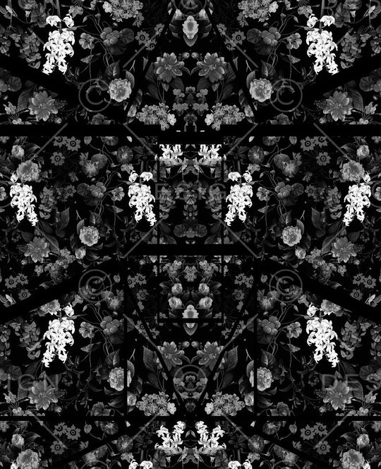 热带印花华亿平台图片