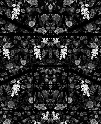 589234-热带花卉植物分割独幅