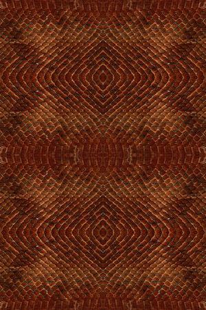 真实蛇纹印花华亿平台图片