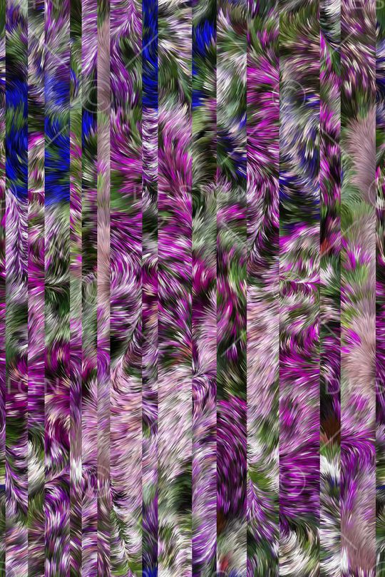 条纹印花华亿平台图片