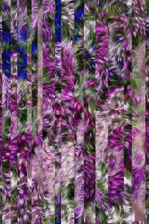 条纹印花华亿平台图片