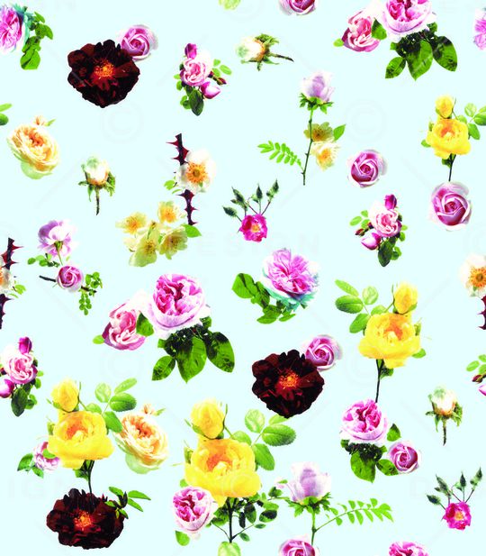 玫瑰印花华亿平台图片