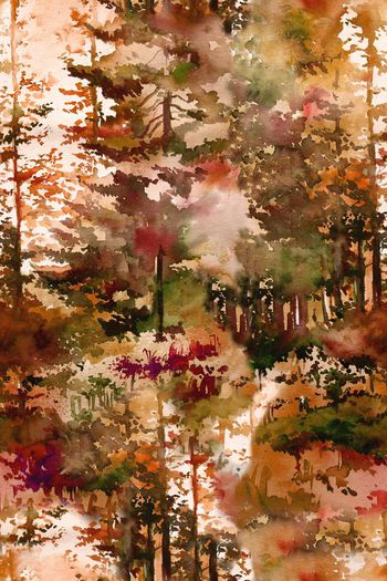 589426-复古水彩森林风景