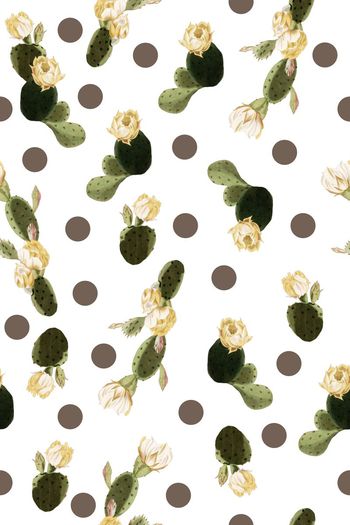 589441-仙人掌变奏曲