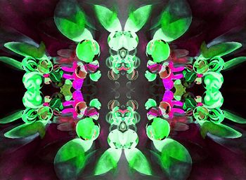 589511-数码女装印花滚动的玻