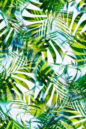 热带印花华亿平台图片