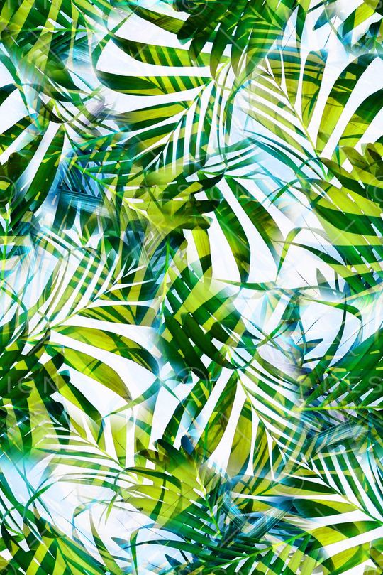 热带印花华亿平台图片