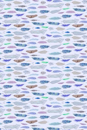 卡通印花华亿平台图片