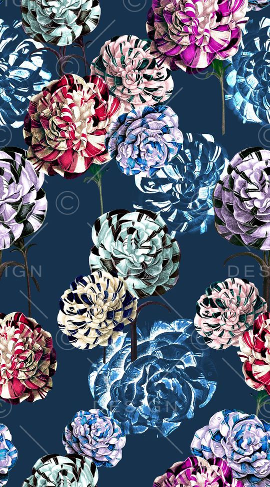 玫瑰印花华亿平台图片