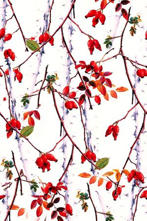 树林印花华亿平台图片