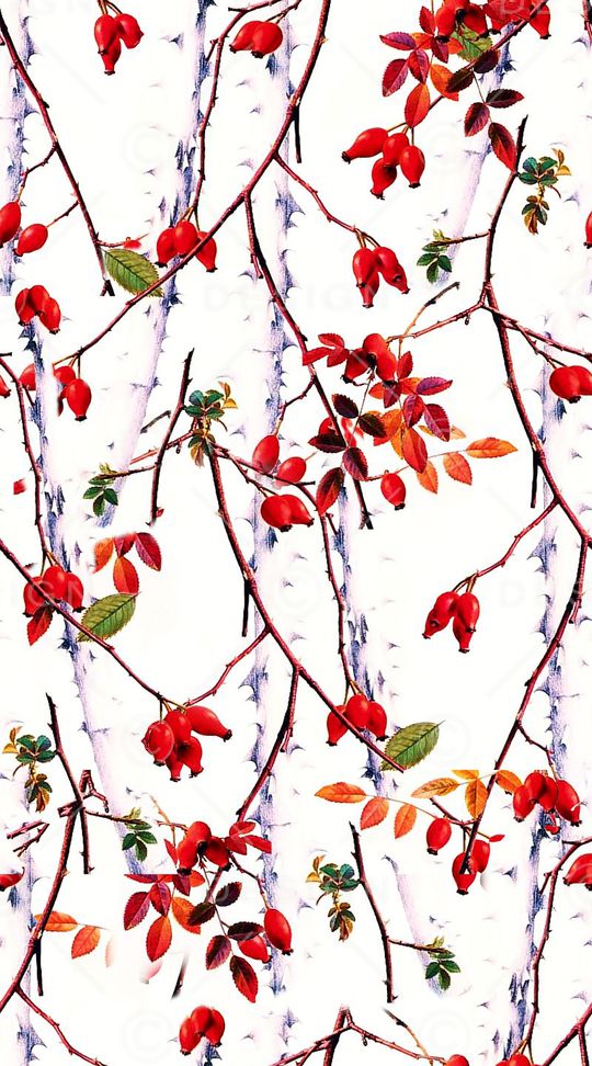 树林印花华亿平台图片