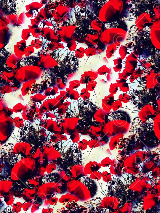 时尚印花华亿平台图片