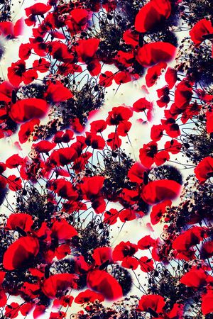 时尚印花华亿平台图片