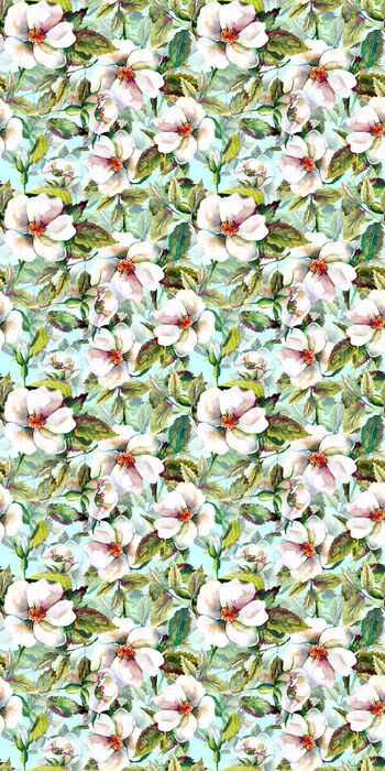 589941-白色花朵植物花卉