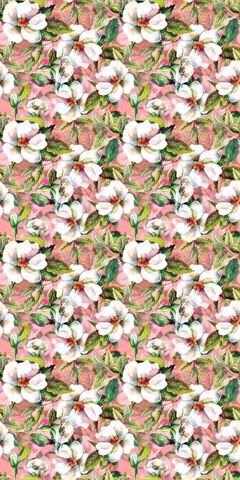 589942-白色花朵植物花卉