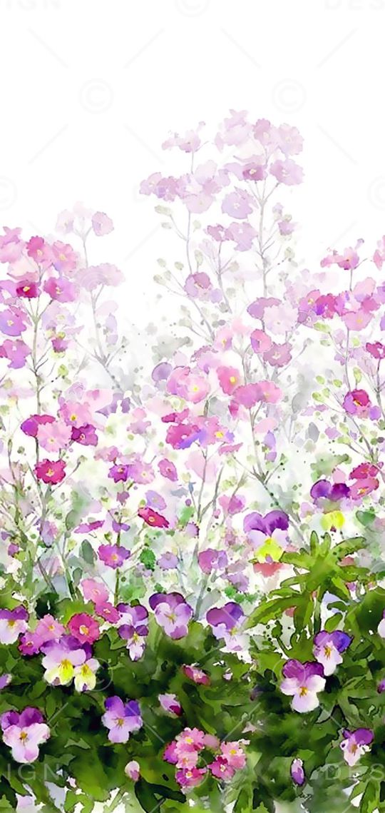 花卉。手绘印花华亿平台图片