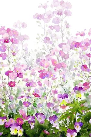 花卉。手绘印花华亿平台图片