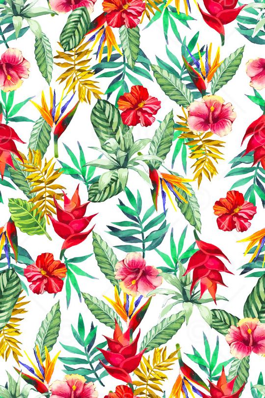 天堂鸟花印花华亿平台图片