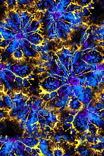 590099-绽放的飞溅