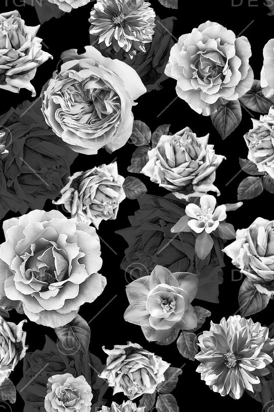 潮流时尚大牌印花华亿平台图片