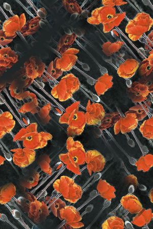 中国风大气手绘印花华亿平台图片