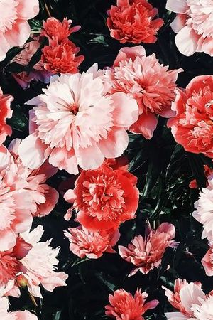 唯美印花华亿平台图片