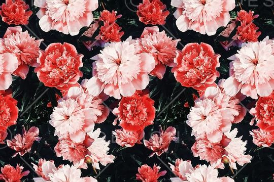 唯美印花华亿平台图片