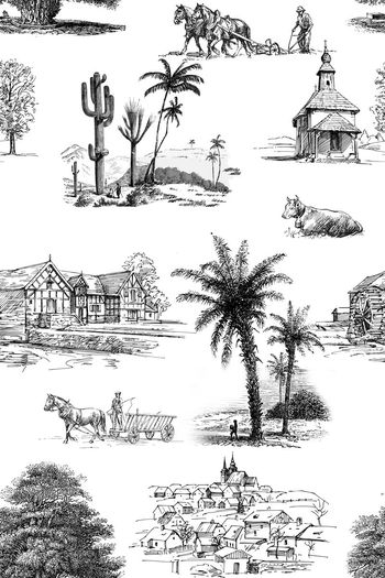 590351-热带风情法式乡村