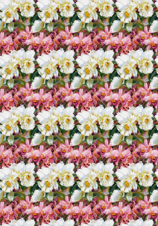 手绘。花卉。定位印花华亿平台图片