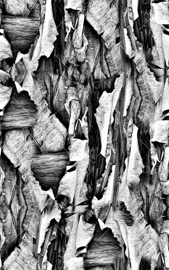 男装外套印花华亿平台图片