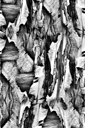 男装外套印花华亿平台图片