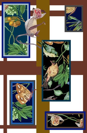 590517-女装小鸟巴宝莉格组合