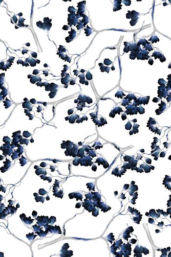 590522-广玉兰植物花朵花卉