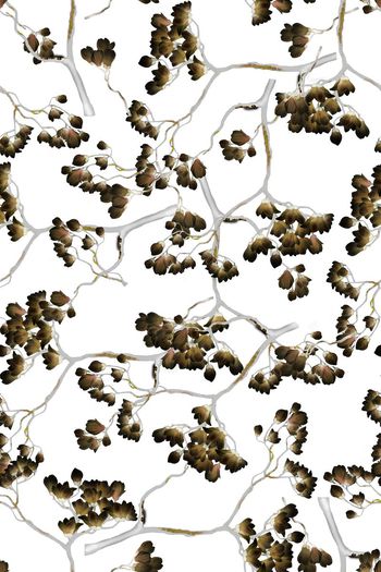 590523-广玉兰植物花朵花卉