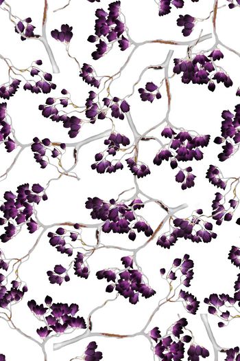 590524-广玉兰植物花朵花卉