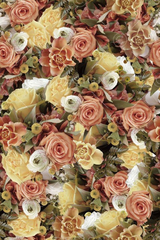 欧美3D真花印花华亿平台图片