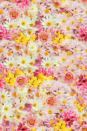 欧美印花华亿平台图片