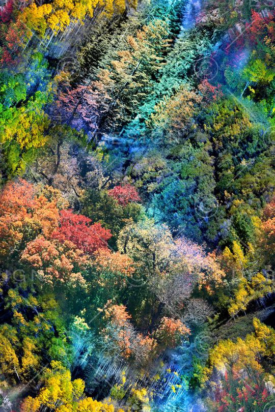 肌理印花华亿平台图片