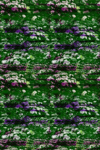 590640-花艺坊自然花卉纹理