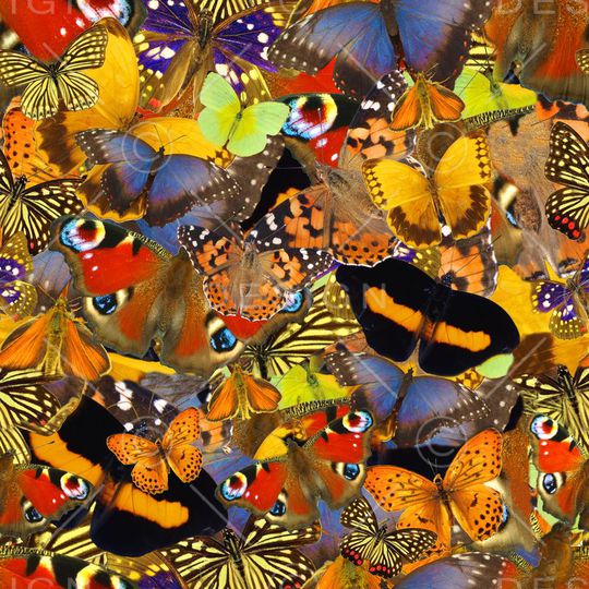 时尚流行风格印花华亿平台图片