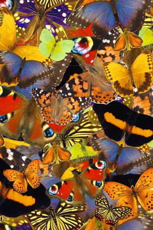 时尚流行风格印花华亿平台图片